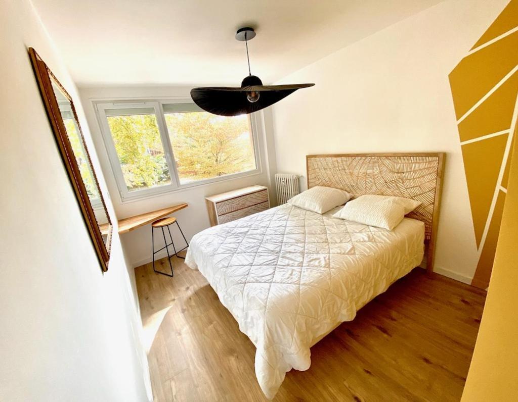 Appartement Refait A Neuf Centre Ville Toulouse Buitenkant foto